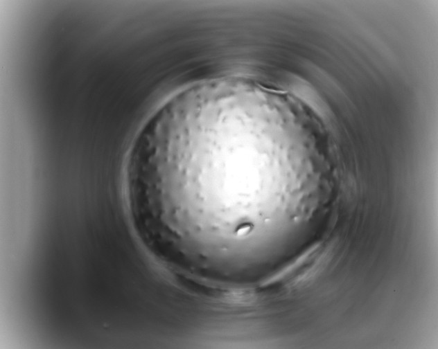 X0000088641055200706011159