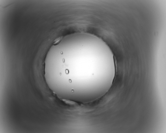 X0000088641057200706011159