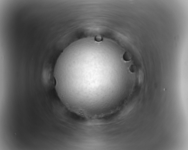 X0000088641059200706011159