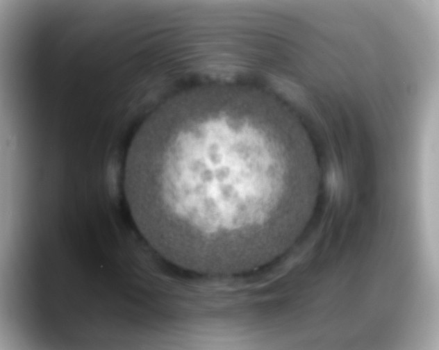 X0000088641060200706011159