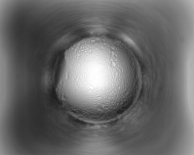 X0000088641063200706011159