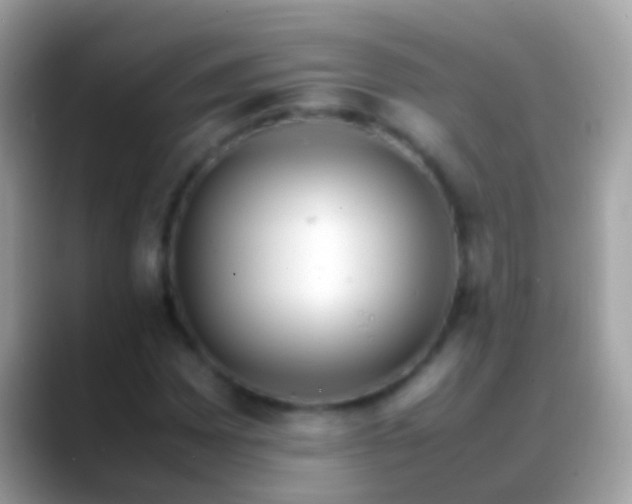 X0000088641065200706011159