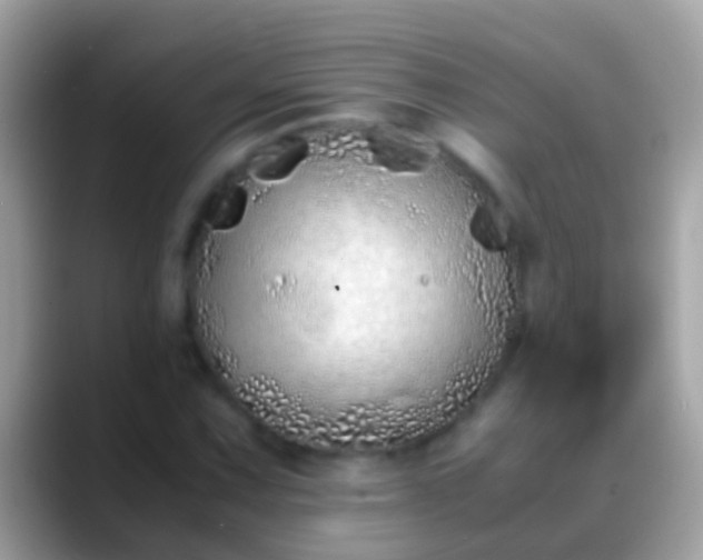 X0000088641067200706011159