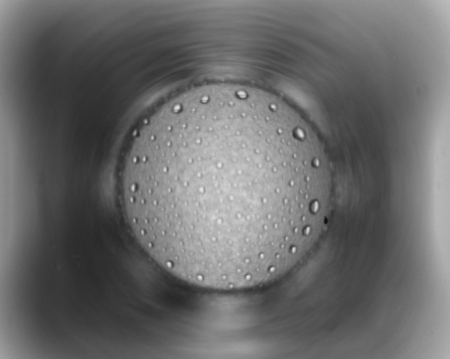 X0000088641074200706011159
