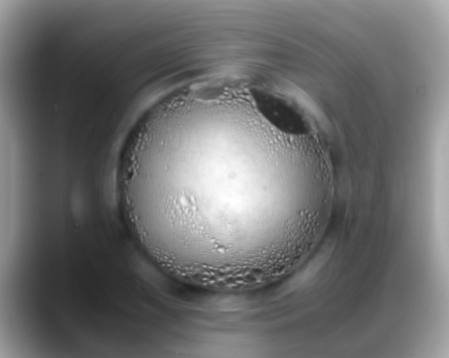 X0000088641075200706011159