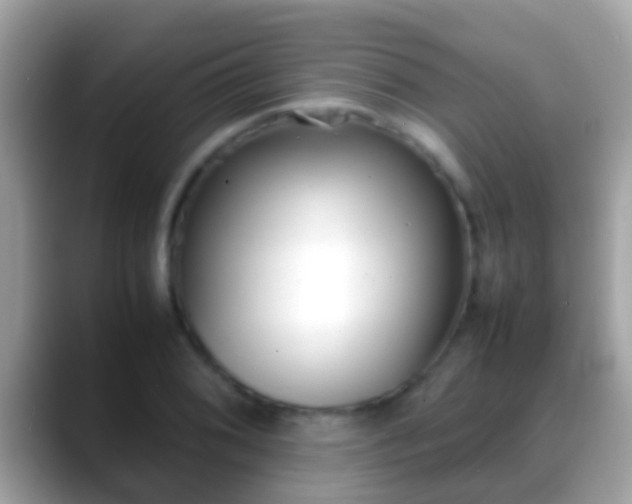 X0000088641076200706011159