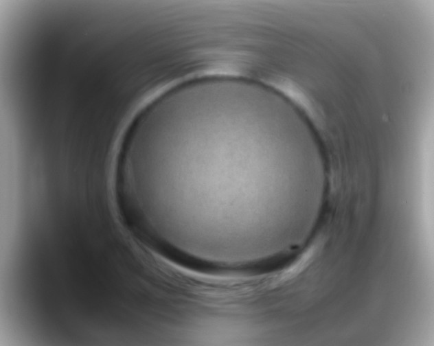 X0000088641077200706011159