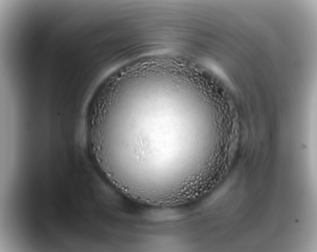 X0000088641079200706011159