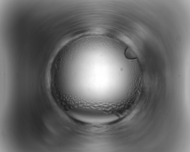 X0000088641083200706011159
