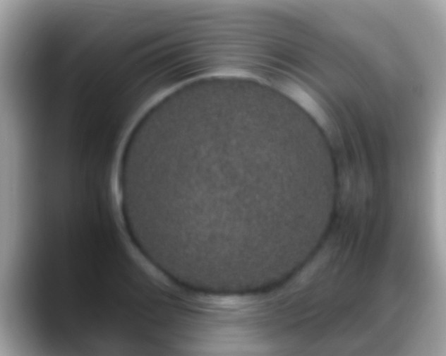 X0000088641084200706011159