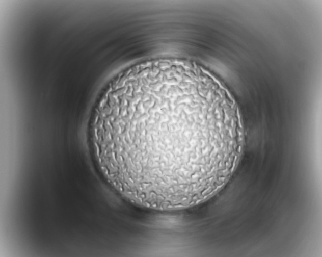 X0000088641086200706011159