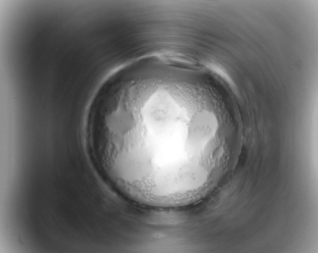 X0000088641087200706011159