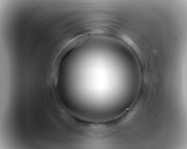 X0000088641089200706011159