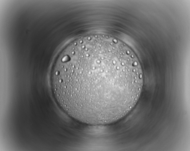 X0000088641090200706011158