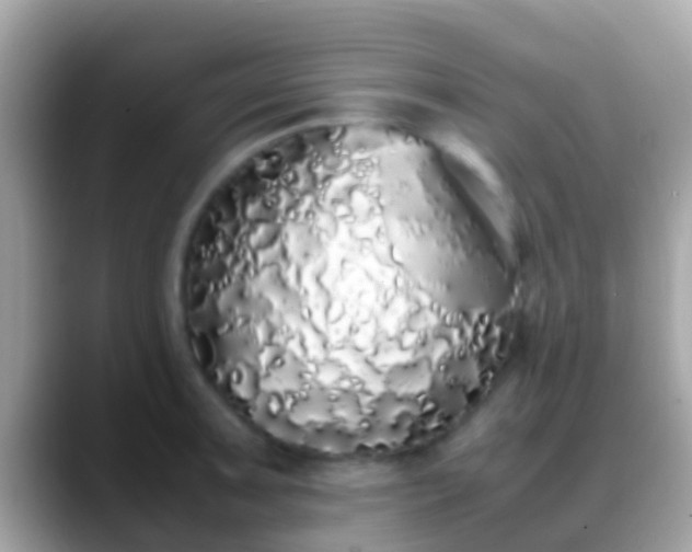 X0000088641091200706011158