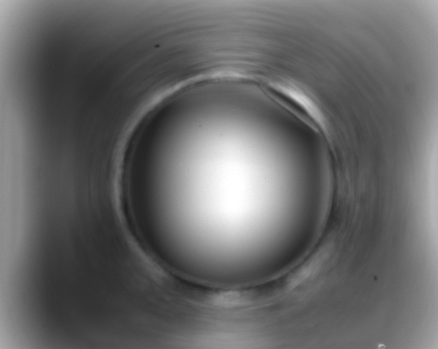 X0000088641093200706011158