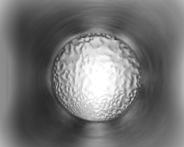 X0000088641094200706011158