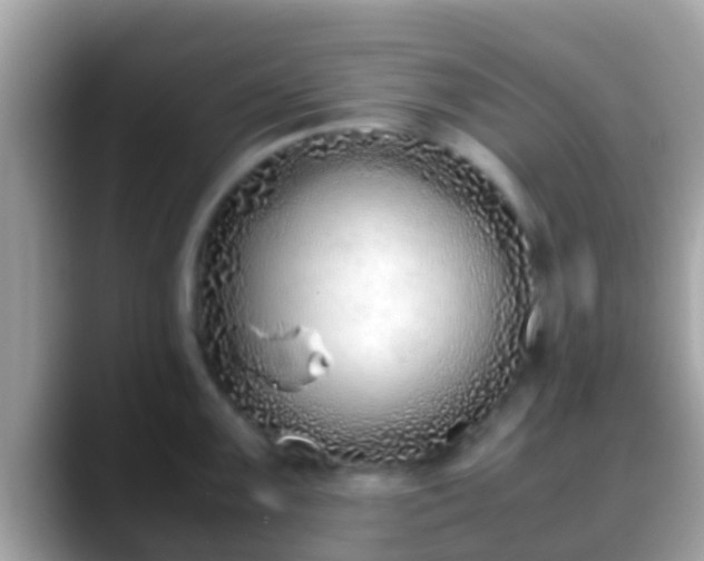 X0000088641099200706011158