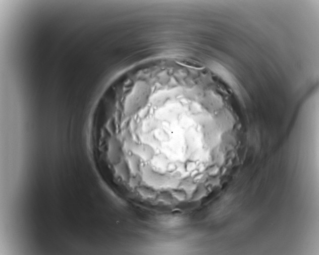 X0000088641103200706011158