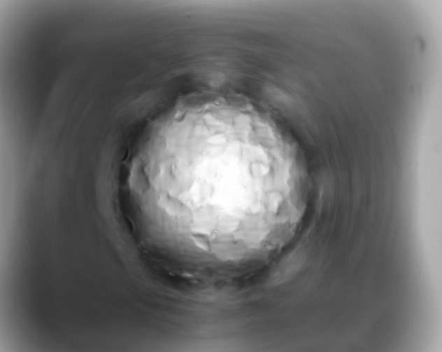 X0000088641105200706011158