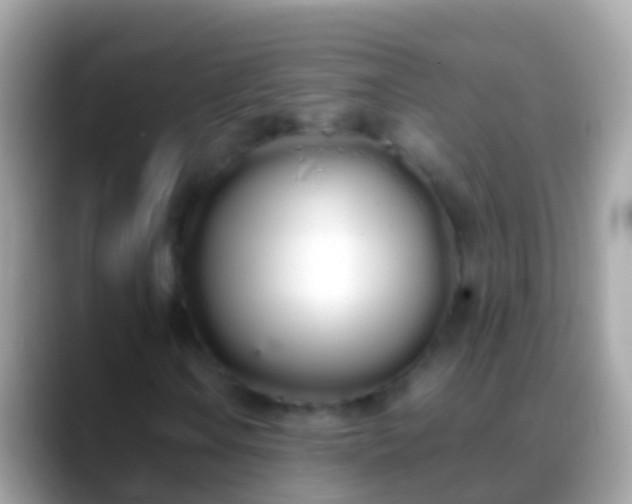 X0000088641106200706011158