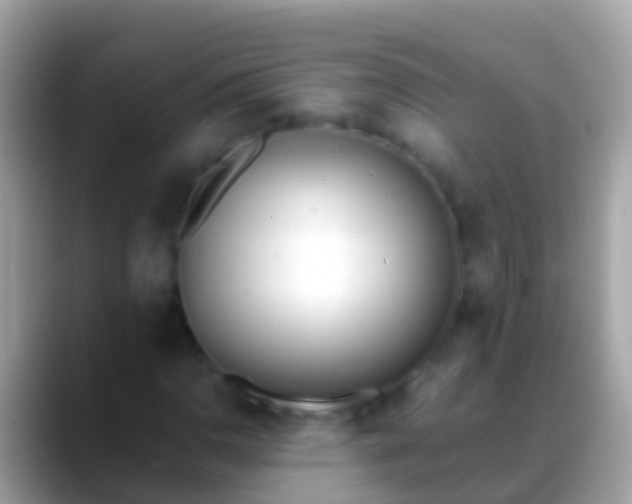 X0000088641110200706011158