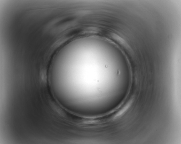 X0000088641113200706011158