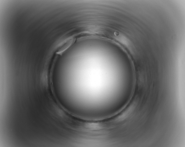 X0000088641114200706011158