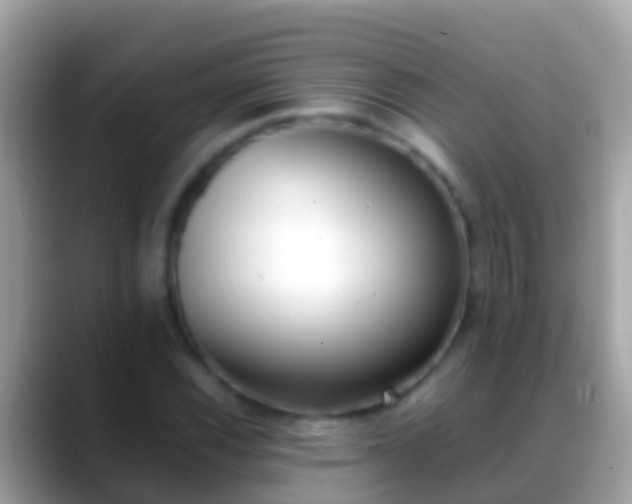 X0000088641116200706011158