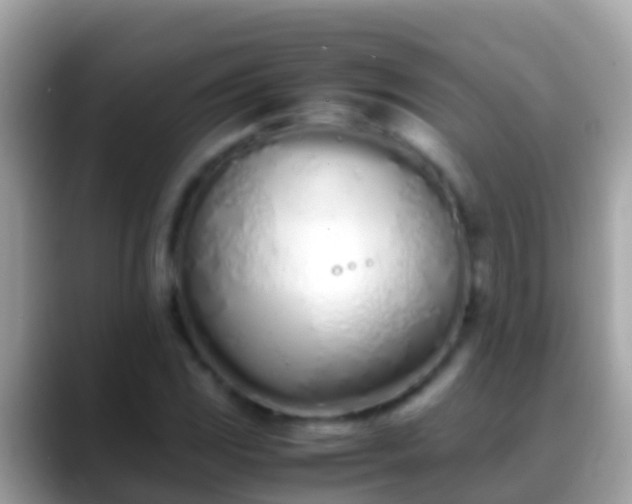 X0000088641117200706011158