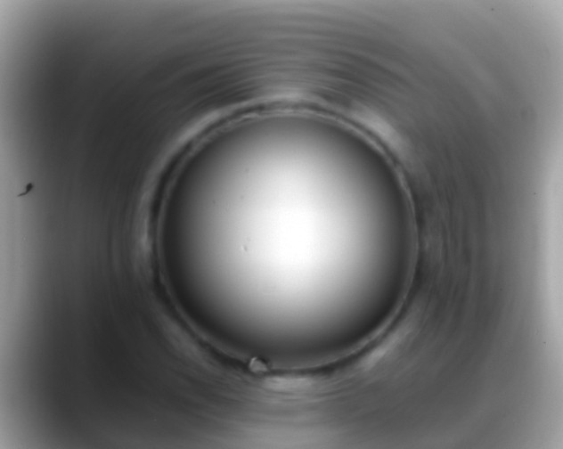 X0000088641118200706011158