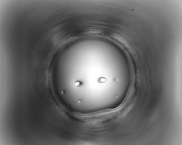 X0000088641121200706011158