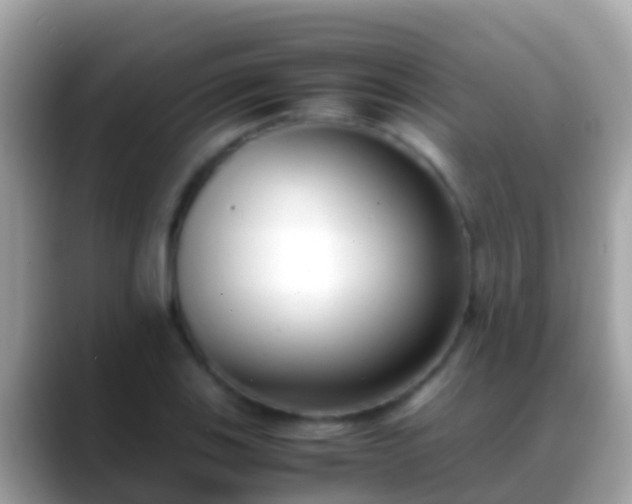 X0000088641123200706011158