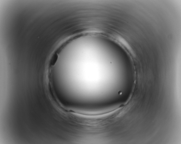 X0000088641124200706011158