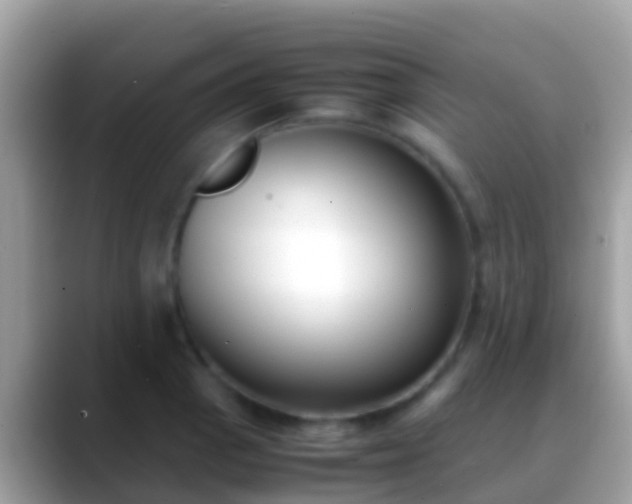 X0000088641129200706011158