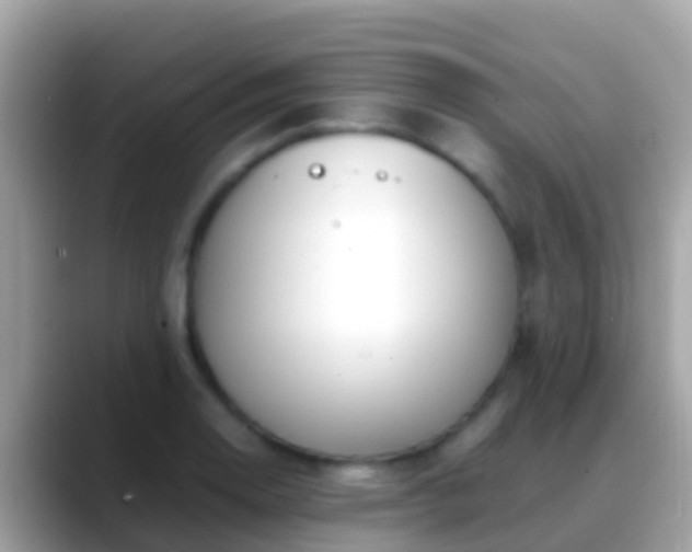 X0000088641130200706011158