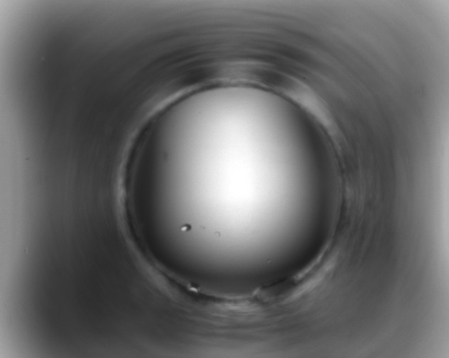 X0000088641133200706011158