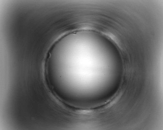 X0000088641134200706011158