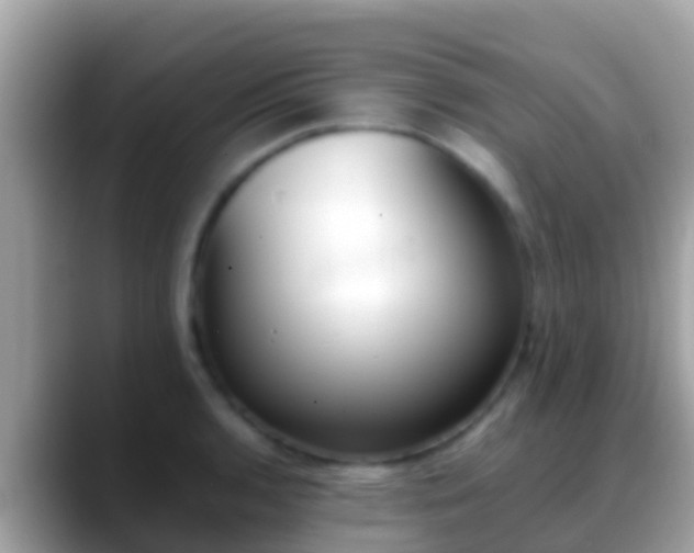 X0000088641136200706011158