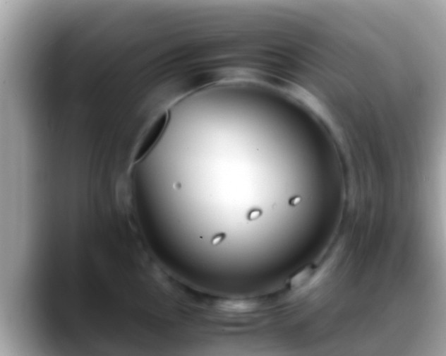 X0000088641145200706011158