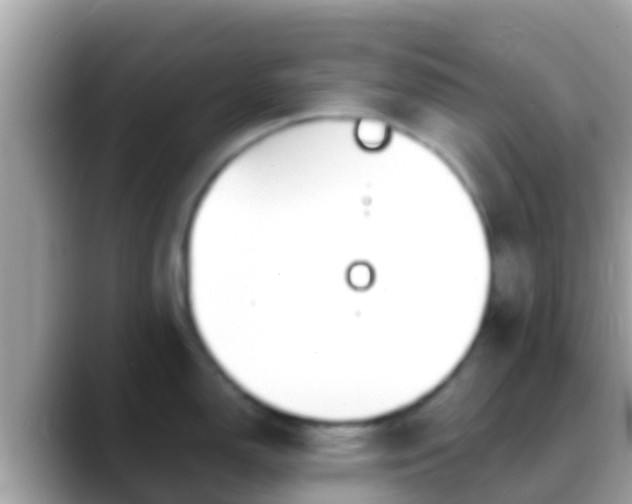 X0000088641150200706011158