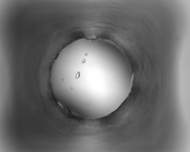 X0000088641153200706011158