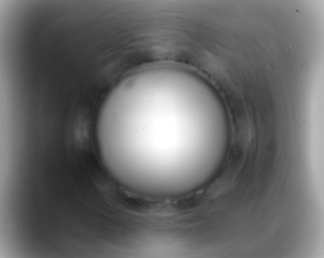 X0000088641154200706011158