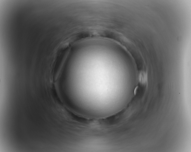X0000088641155200706011158