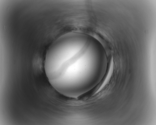 X0000088641156200706011158
