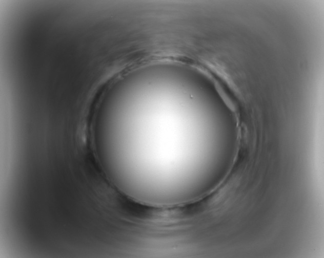 X0000088641165200706011157