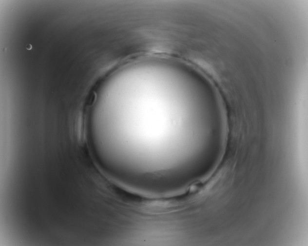 X0000088641171200706011157