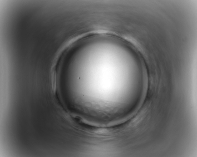 X0000088641175200706011157