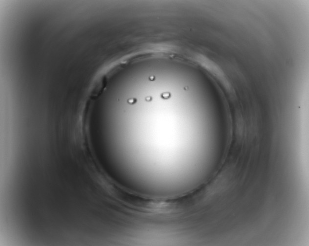X0000088641176200706011157