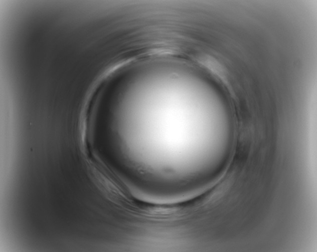 X0000088641179200706011157